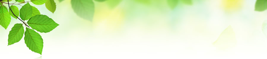 ブラウンシェーバー 替刃交換対応表と安く購入する方法を徹底解説